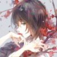森森森
