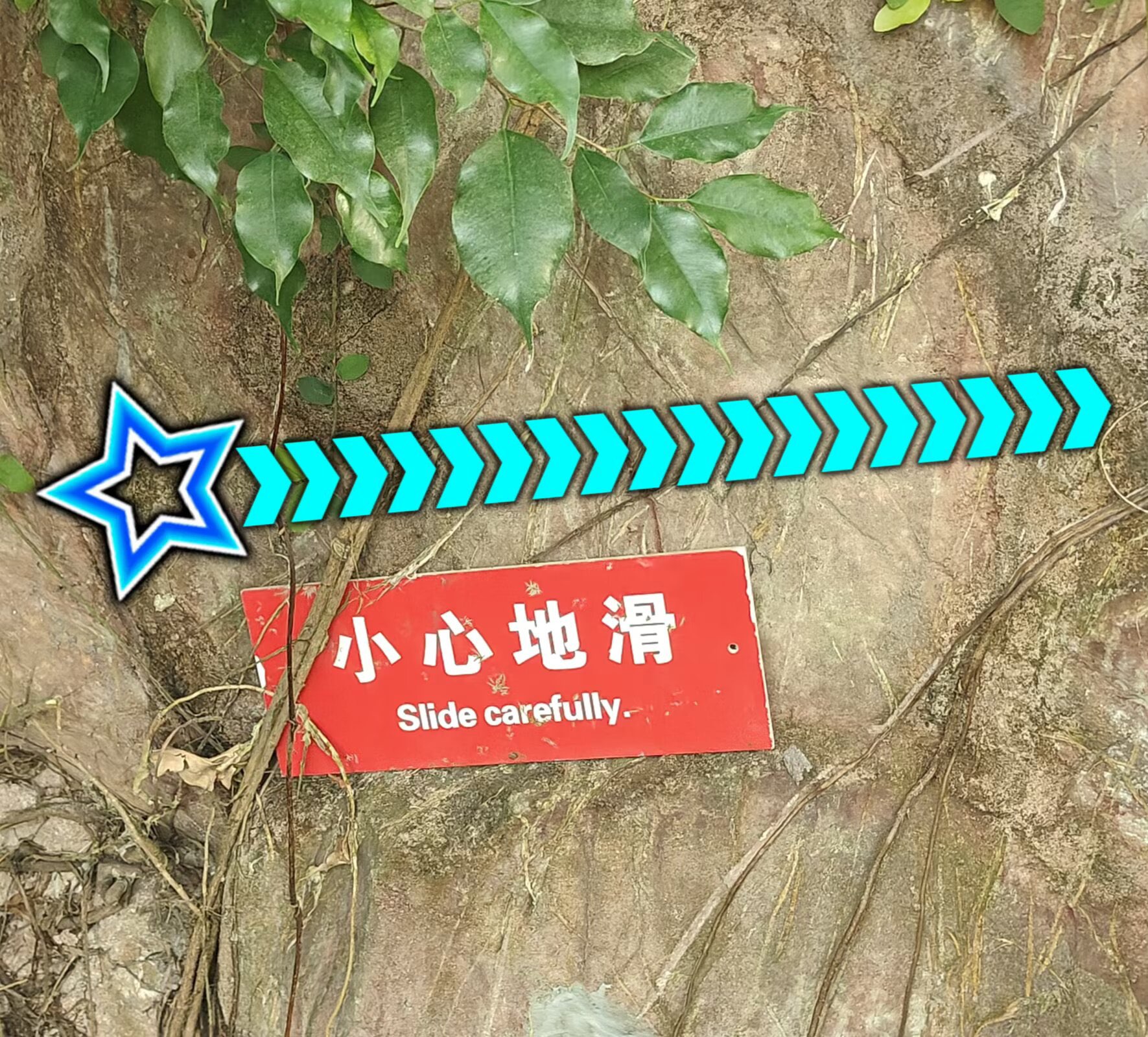 Image_1775231980744.jpg